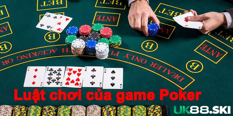 Những luật chơi và trình tự diễn biến trong một ván cược