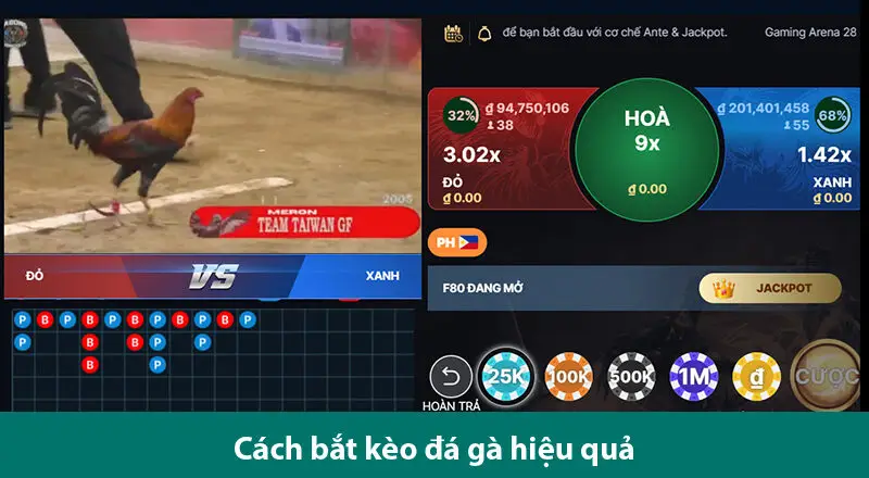 Cách đọc kèo đá gà chuẩn để chơi chọi gà online hiệu quả
